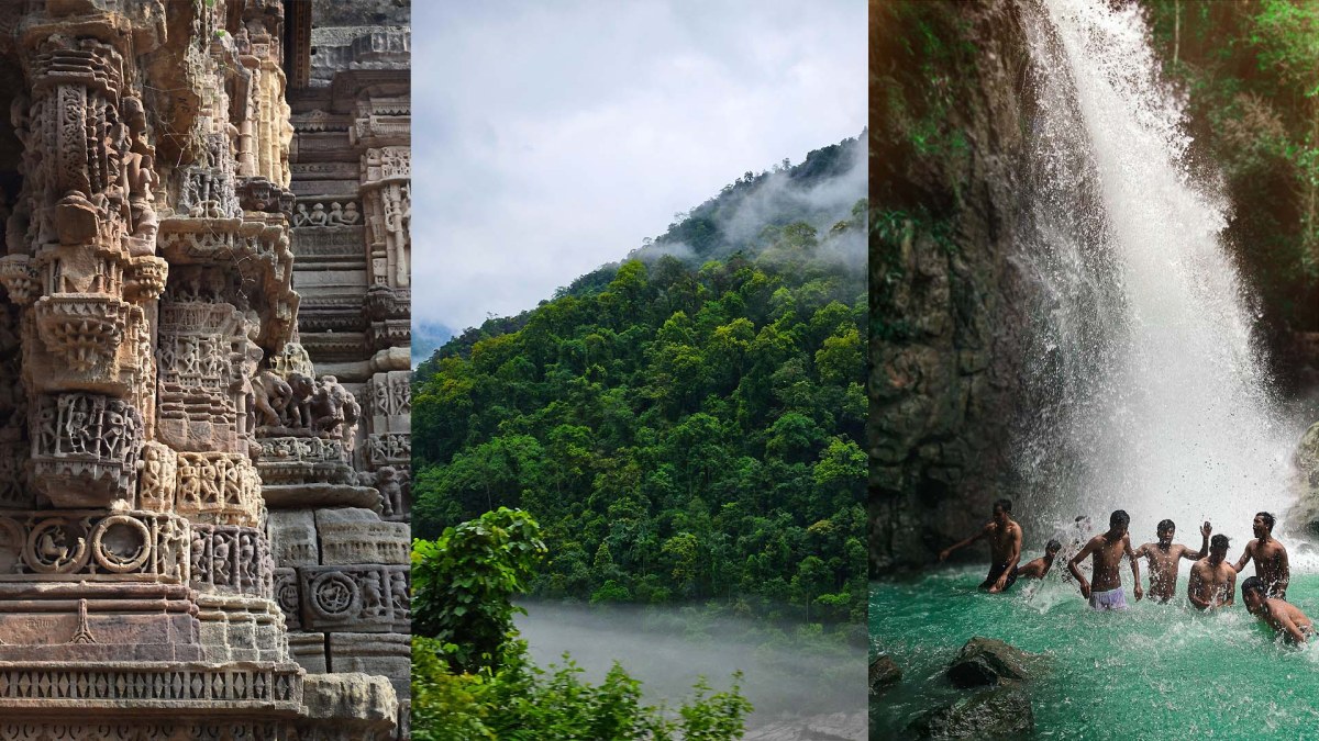 Complete Polo Forest Guide: History, Greenery and Waterfalls